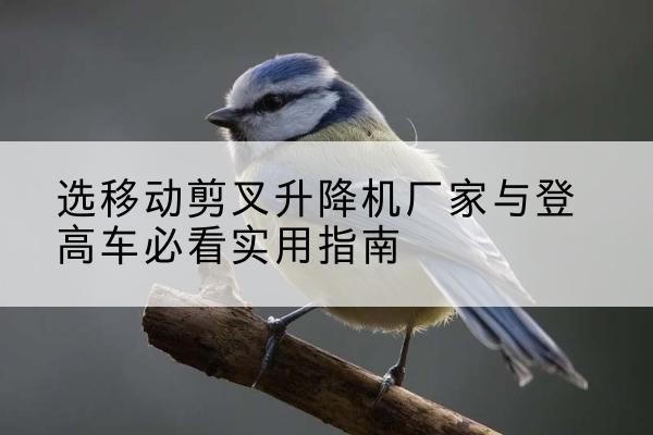 安福电动升降机厂家-选移动剪叉升降机厂家与登高车必看实用指南