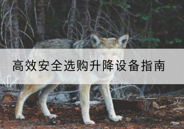 安福升降货梯厂家推荐-*安全选购升降设备指南